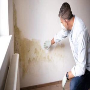 Wall Dampness Treatment