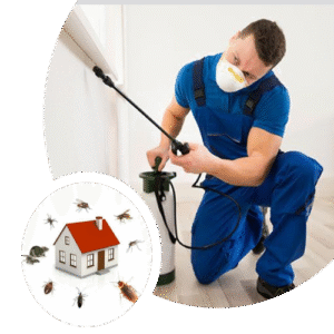 Home Pest for Reject Ants for Reject Insect Mosquito Killer