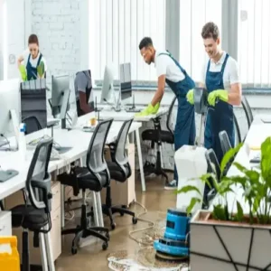 Office & Commercial Cleaning